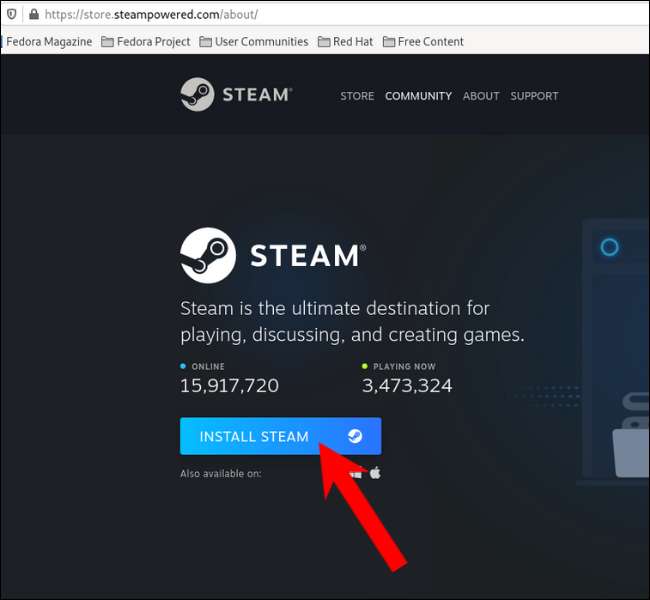 How to Download and Install Steam on Linux - TheFastCode