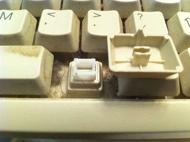Cómo limpiar el teclado? foto de archivo. Imagen de teclado - 10599690